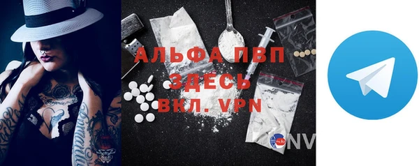 PSILOCYBIN Белокуриха