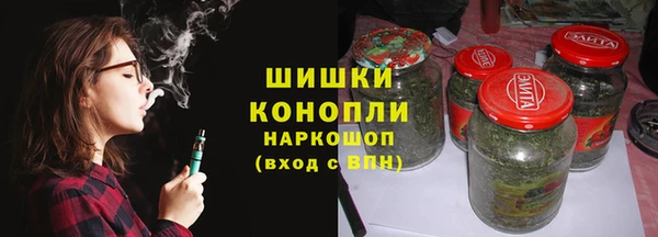 PSILOCYBIN Белокуриха