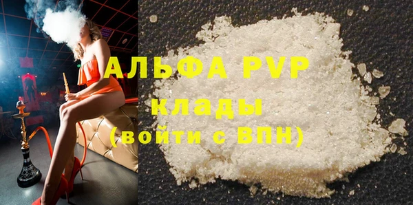 PSILOCYBIN Белокуриха