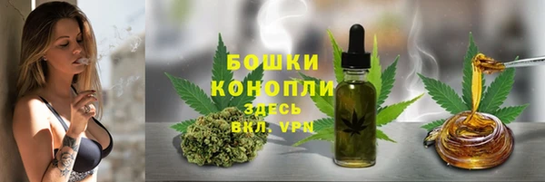 PSILOCYBIN Белокуриха