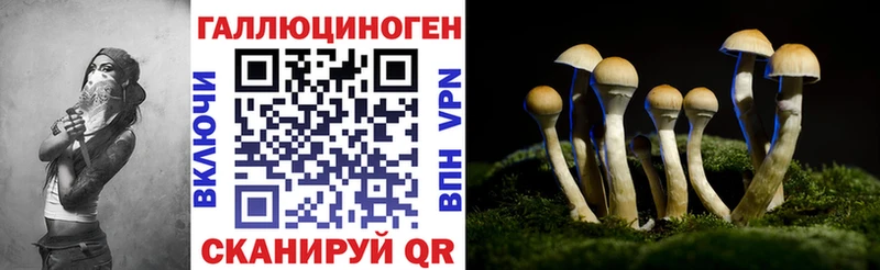 дарнет шоп  Обь  Галлюциногенные грибы MAGIC MUSHROOMS 